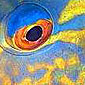 About The Tropic Marine Aquarium Business
